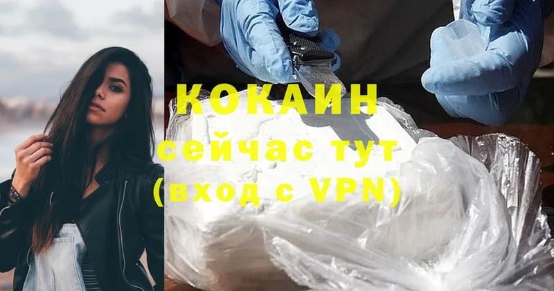 где купить   Коркино  Cocaine Эквадор 