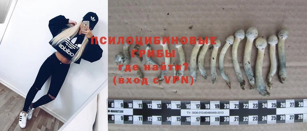 MDMA Кодинск