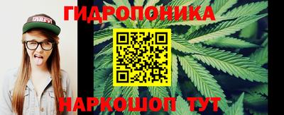 дживик Лесосибирск