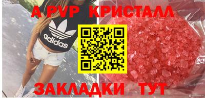 ALPHA PVP Гусев