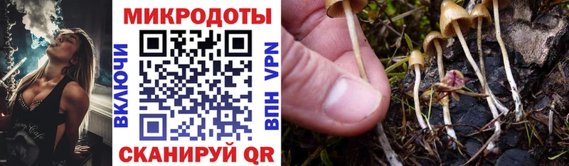 купить наркотик  Коркино  Галлюциногенные грибы прущие грибы 