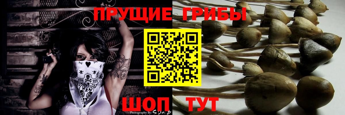Галлюциногенные грибы мицелий  Псилоцибиновые грибы Psilocybe  Вход с VPN  Коркино 